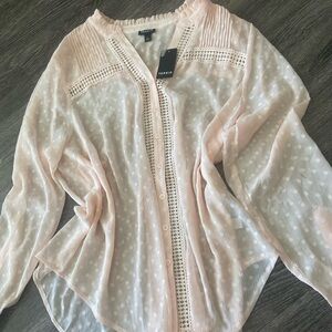 Torrid Light Pink Sheer Blouse